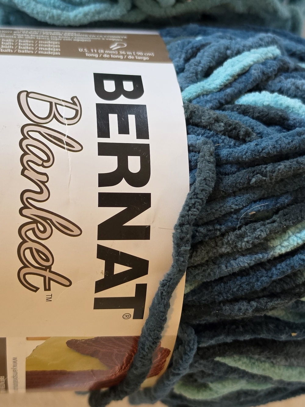 Bernat Plush Blanket Yarn in Teal and Aqua